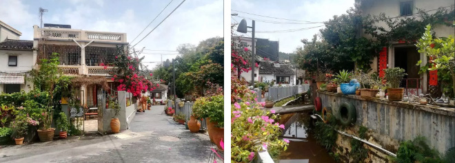 Shenzhen · Culture & Creative 14